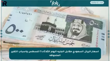 أسعار الريال السعودي مقابل الجنيه اليوم الثلاثاء 5 أغسطس وأسباب التغير الملحوظة